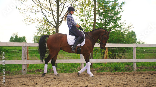 a young woman walks a horse on a leisurely walk. High-quality photo