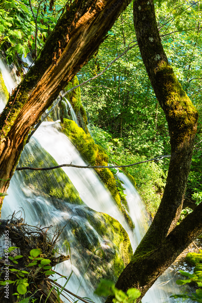Naklejka premium クロアチア プリトヴィツェ湖群国立公園の滝