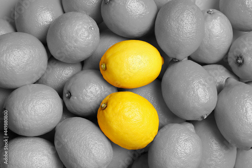Εκτύπωση καμβά Many fresh lemons as background, top view