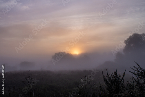dawn on a foggy morning © Владислав Якуничев