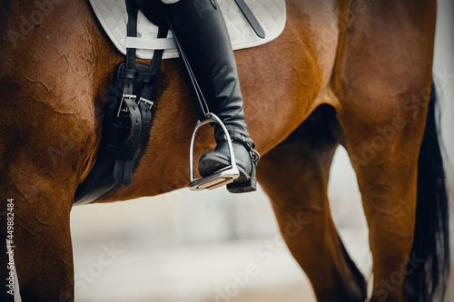 Equestrian sport. The leg of the rider in the stirrup, riding on a horse.