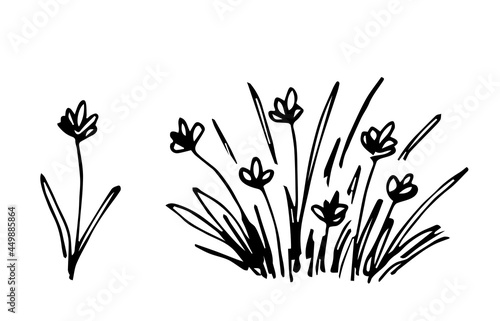 Simple hand-drawn vector drawing in black outline. Steppe herbs, wildflowers. Meadow wild plants. Flora, a bush of flowering vegetation.