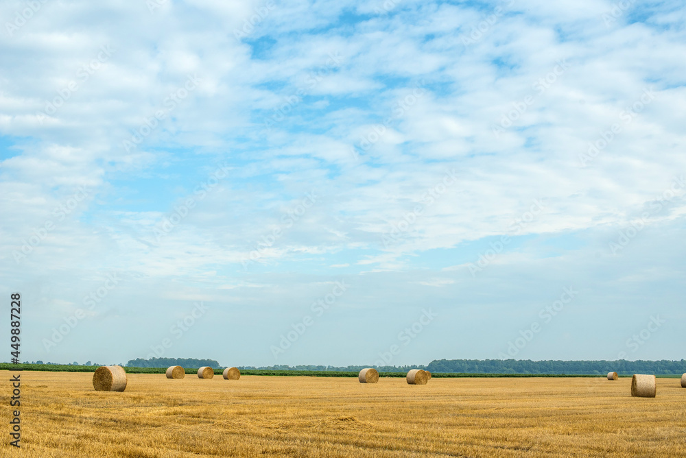 countryside with sky, farm field, harvest time, hay bales between stubbles.