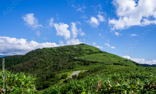 【静岡県伊豆半島】夏の高原風景【伊豆山稜線歩道・だるま山周辺・パノラマ】