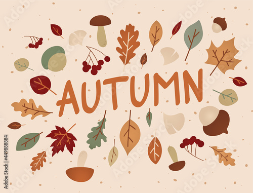 autumn background illustration vector