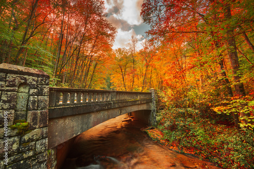 Konstfotografi Autumn roads in Pisgah National Forest, North Carolina, USA