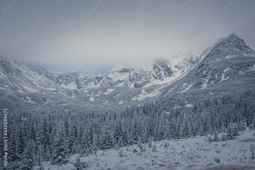 Misty mountains in Poland. Tatra National Park. Kościelec Peak in the clouds, valley and fir forset in snow. Selective focus on the rocks and crags, blurred background.