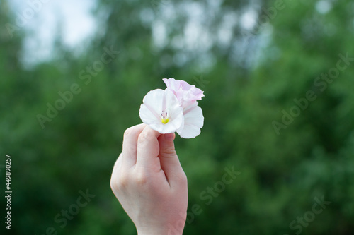 A small bouquet of flowers in a child's hand on a blurred green background.