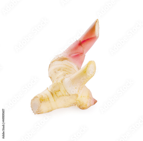 Galangal an isolated on white background