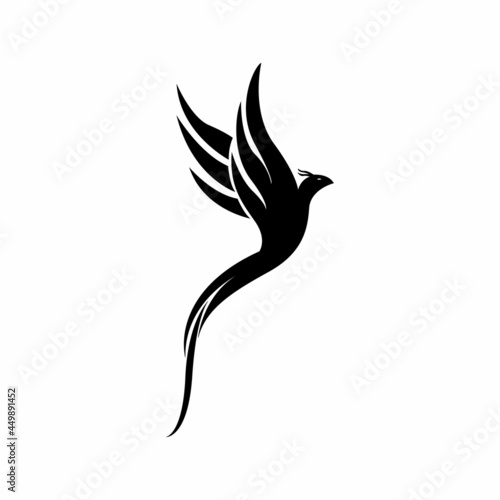 phoenix animal design logo vector