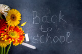 Back to school. Teachers day greeting card
