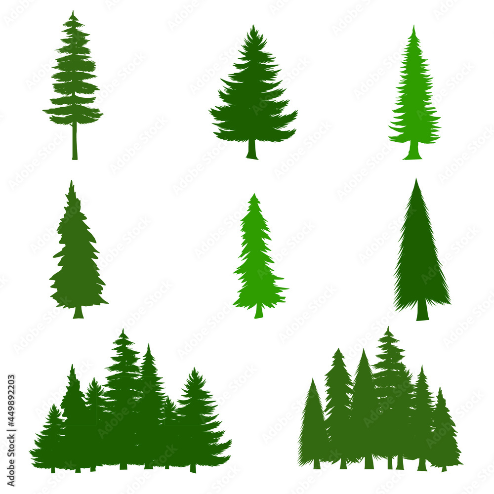 pine tree for your design