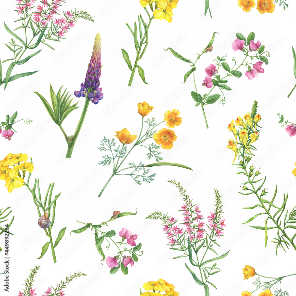 Fototapeta premium Seamless floral pattern with yellow linaria vulgaris, Cheiranthus cheiri, eschscholzia, pink mouse peas, lupin, Ivan Chai flowers. Watercolor painting illustration isolated on white background