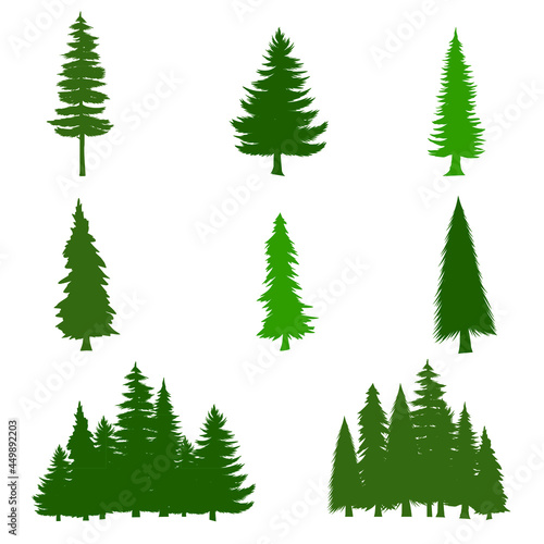 pine tree for your design