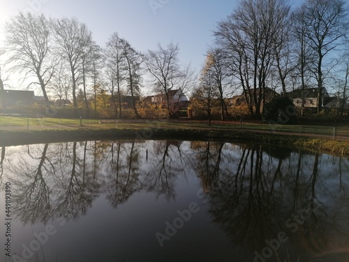 Perfect nature reflections from the trees in the lakes around Jutland in Denmark during autumn