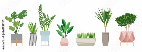 A set of fashionable indoor plants for the house. Isolated on a white background. Dracaena, monstera, boxwood, chlorophytum, spatifilum, ficus benjamin, pineapple, zamiokulkas. Color flat vector