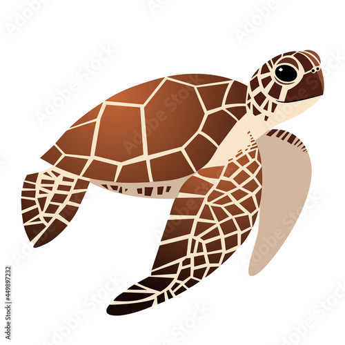 cute sea turtle cartoon drawing, illustration on a white background.