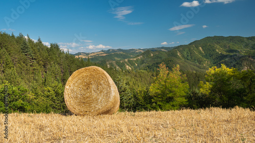 Apennines, mountain panorama seen from the top of Sant Ellero located near the small Italian town of Galeata. photo