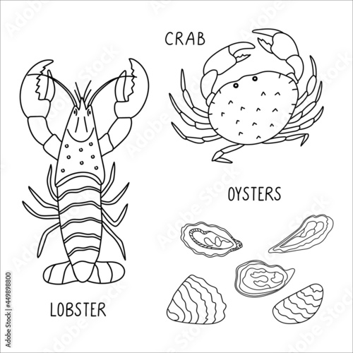 Set of seafood illustration. Lobster, crab, oysters doodle illustration isolated on a white background. Delicious seafood. Perfect for menu decoration