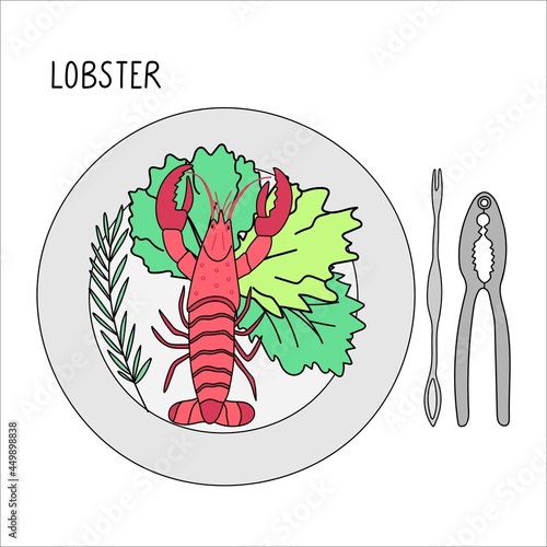 Plate with lobster, basil, salad and lobster crackers next to it doodle vector illustration isolated on a white background. Delicious seafood. Perfect for menu decoration