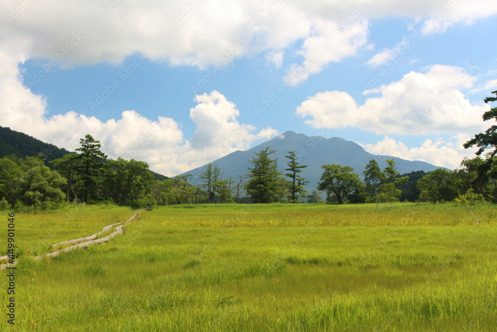 真夏の尾瀬沼と燧ケ岳 Oze in summer