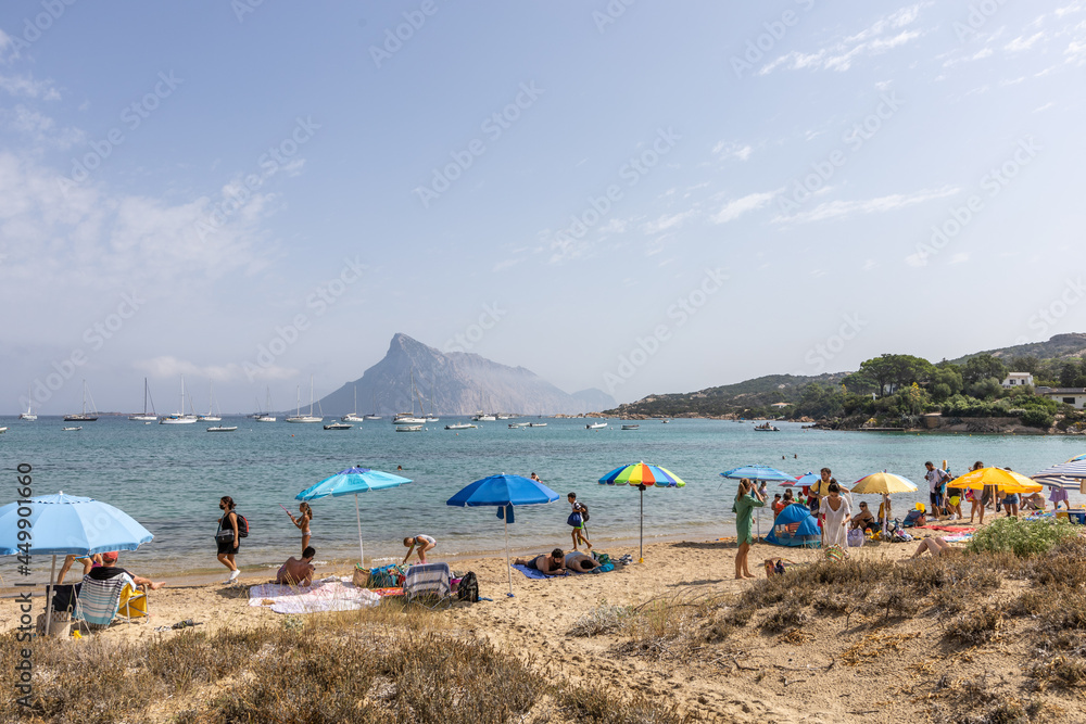 Cala Girgolu beach with Tavolara Island in background, Sardinia, Italy, Europe Cala Girgolu beach with Tavolara Island in background, Sardinia, Italy, Europe