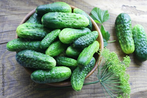 Fresh cucumbers on a wooden table. Dill, garlic and spices. Preparation of pickled cucumbers. preservation of fresh homemade cucumbers. Selective focus. nature