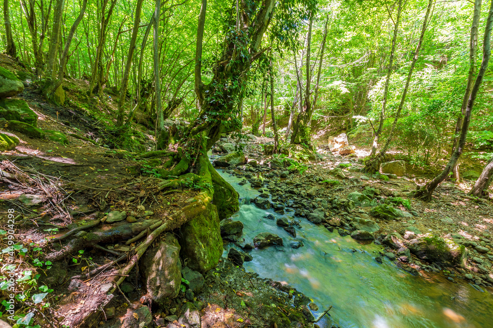 Tesvikiye Cifte waterfall view in Yalova Tesvikiye Cifte waterfall view in Yalova