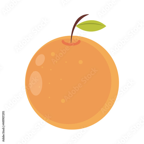 orange fruit citrus