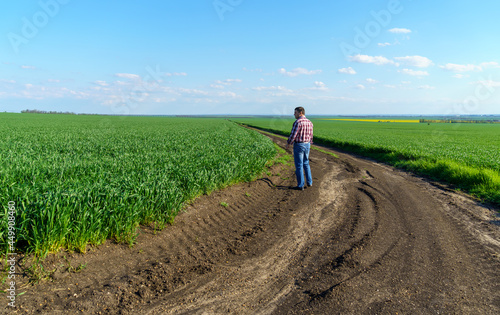a man as a farmer walking along the field  dressed in a plaid shirt and jeans  checks and inspects young sprouts crops of wheat  barley or rye  or other cereals  a concept of agriculture and agronomy