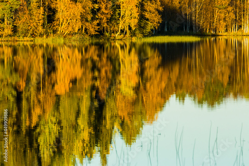 Autumn landscape in Muonio  Lapland  Northern Finland