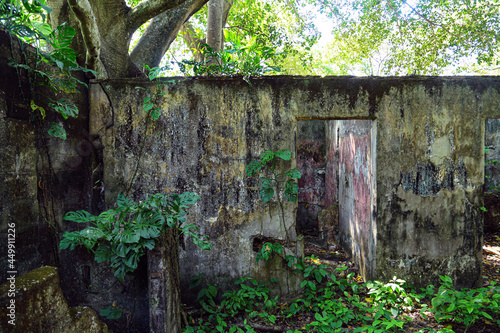 VIVIENDA, SELVAS, RUINAS,  MONTAÑAS, COLO MBIA, ARMERO,PUEBLO,ABANDONADO,COLOMBIA photo