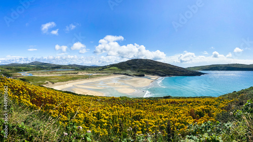 Aerial view of Barleycove beach, a gently curving golden beach formed of an extensive landscape nestled in between the rising green hills of the beautiful Mizen Peninsula in west Cork