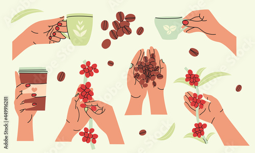 Hand holding coffee mug and picking fresh coffee berries elements collection. Growing and harvesting plants isolated set. Different cafe signs in cartoon design.