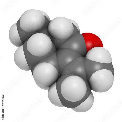 Pulegone molecule. 3D rendering. Atoms are represented as sphere photo