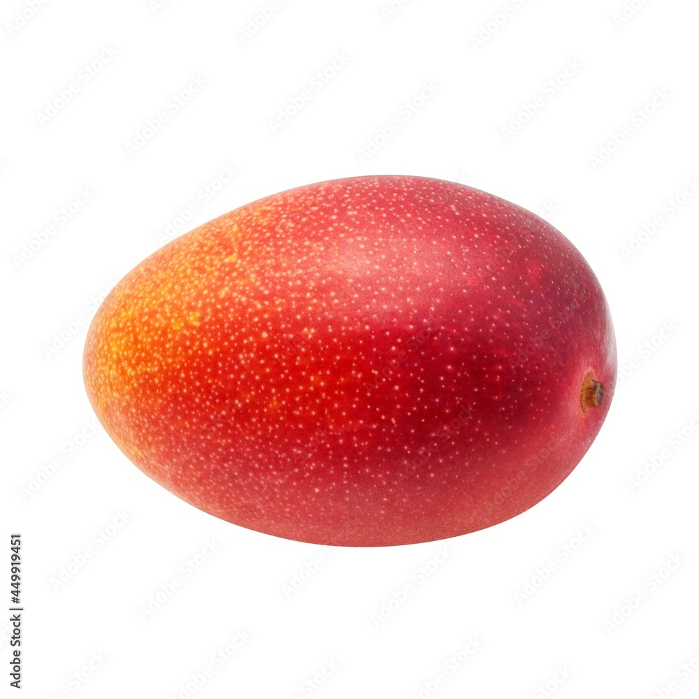 Obraz premium マンゴー イラスト リアル 果実