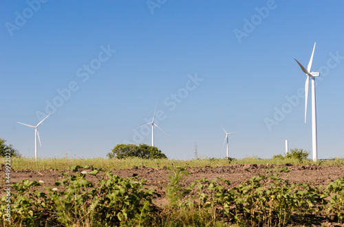 Landscape of energy efficient wind turbine at the countryside near Tarariras, Colonia photo