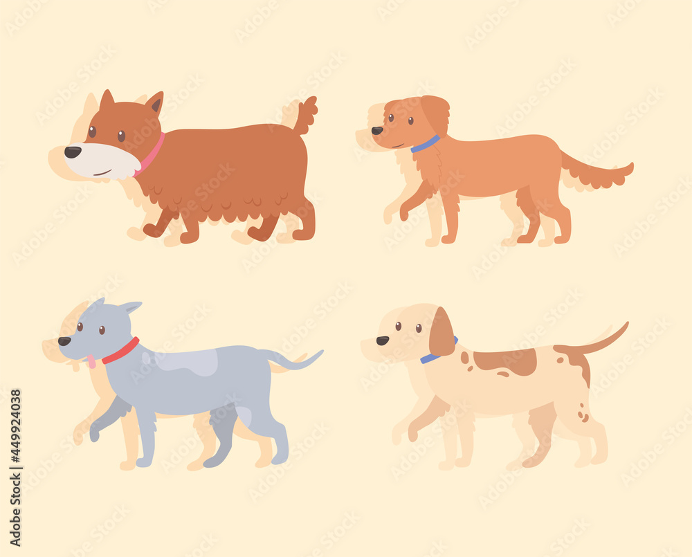 set of cute dogs walking
