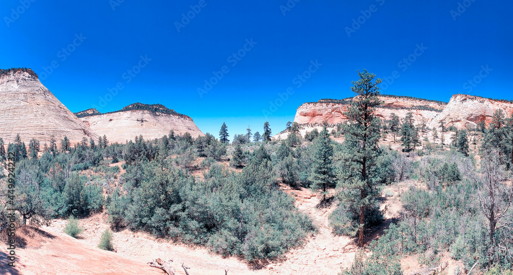 Zion National Park in summer season - Panoramic view