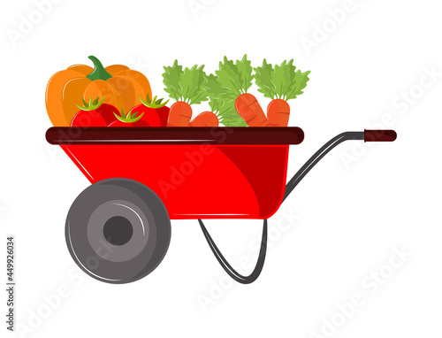 vegetables in wheelbarrow