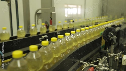 Soybean oil production and packaging process for human consumption. Industrial production in Brazil.