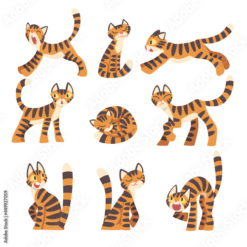 Tiger Character with Orange Fur and Black Stripes Cuddling and Sitting Vector Set
