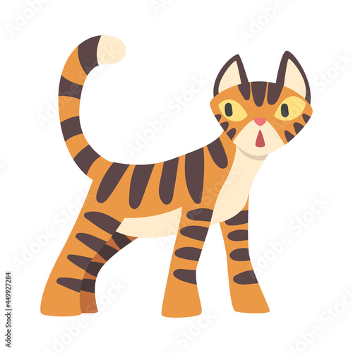 Tiger Character with Orange Fur and Black Stripes Standing Vector Illustration