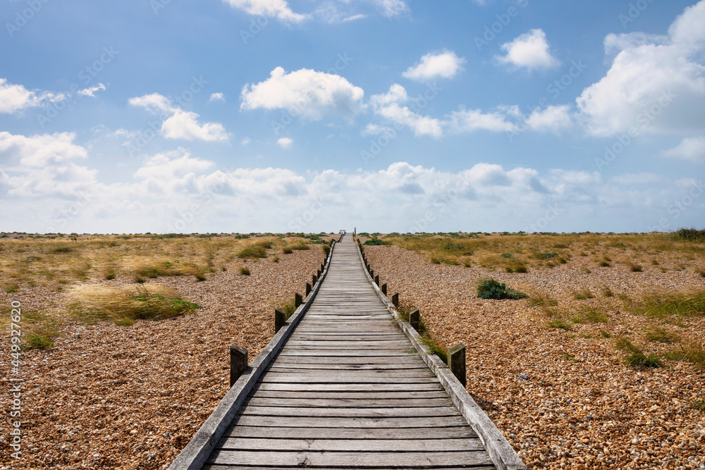 The boardwalk landscape