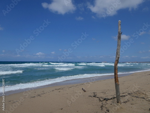 Treibholz am Strand auf Sardinien