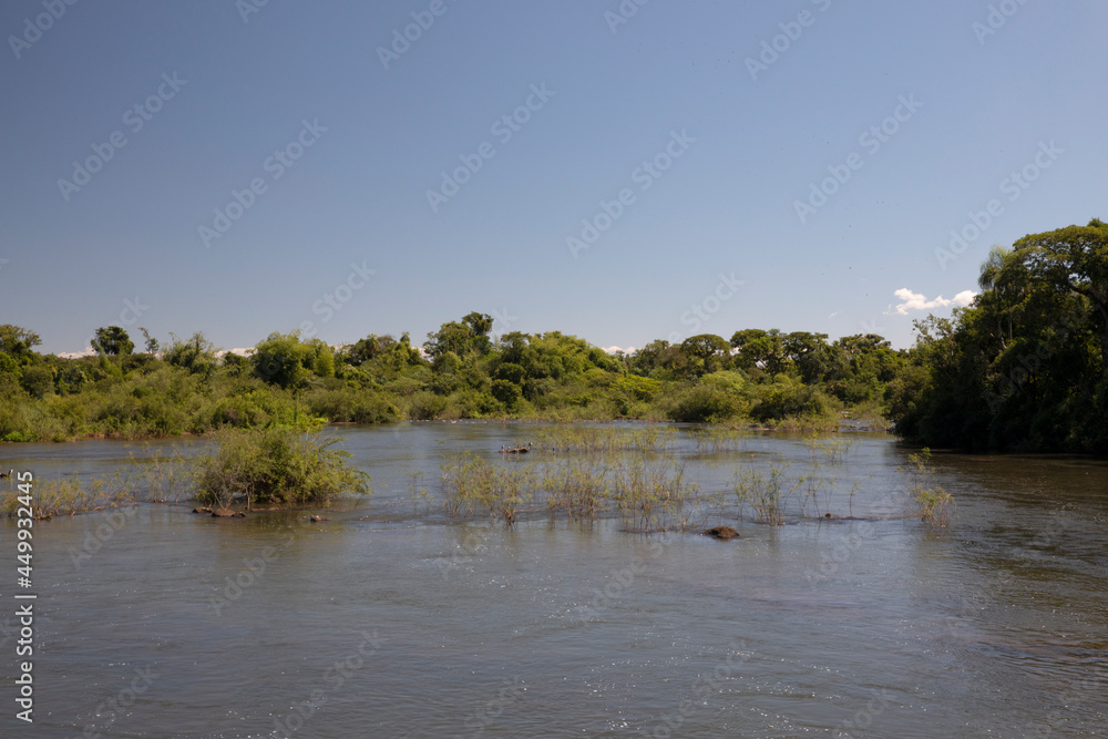 The Iguazu river flowing across the jungle in the frontier between Argentina and Brazil. The fresh water, shallows and green forest under a blue sky.