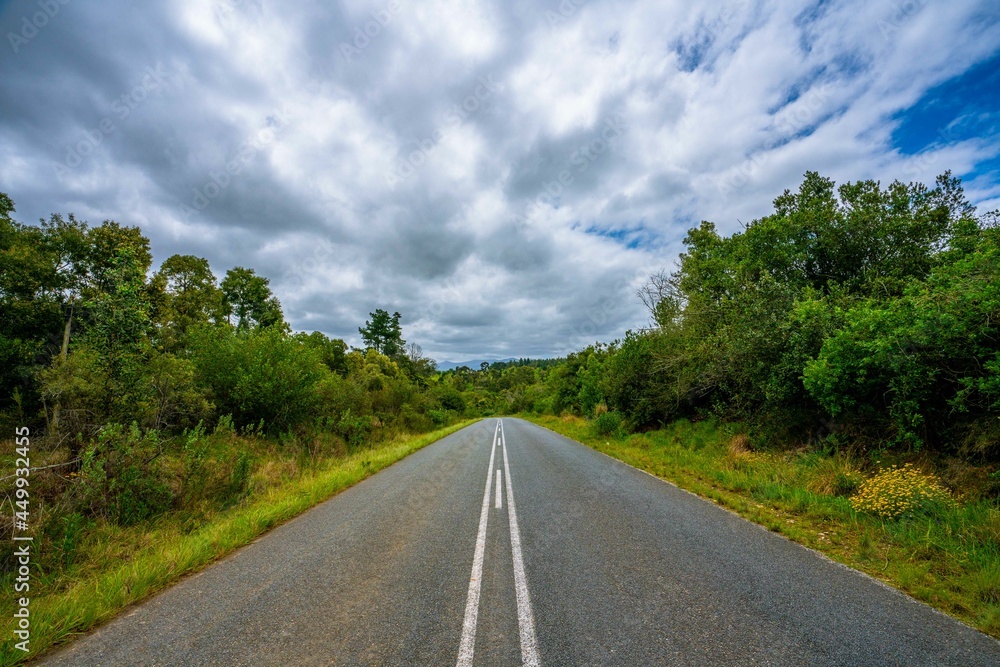 Open and empty road in Knysna, Western Cape, South Africa