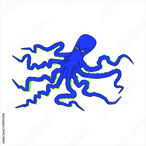 Animales peces de mar moluscos el pulpo nombre científico octopus vulgaris