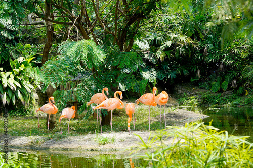 Cali, Colombia; August 07 2021: People enjoy visiting the zoo of Cali, with a lot of birds, tigers, lions, monkeys, bears and butterflies.