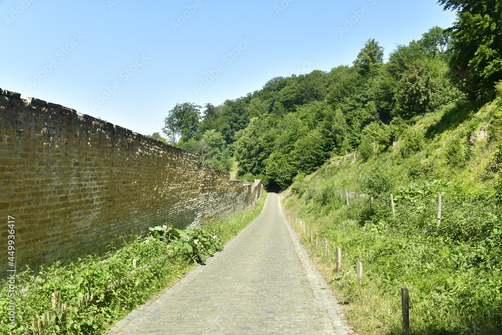 Petite route à pavés longeant le mur d'enceinte de l'abbaye du Rouge Cloître en forêt de Soignes à Auderghem